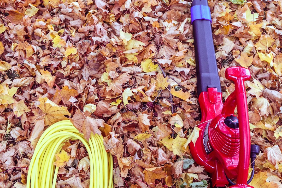 Cordless battery-powered leaf blower on a residential lawn